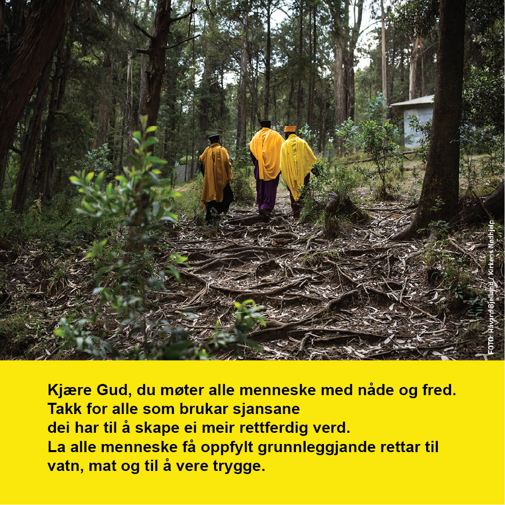 Fastetida - gul veke